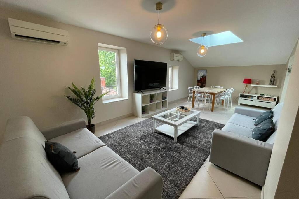 Superbe Appartement Avec 2 Chambres - 9 Personnes - Parking Prive Tournon-sur-Rhone Eksteriør bilde